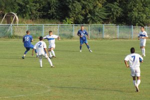 IMG_7911.JPG